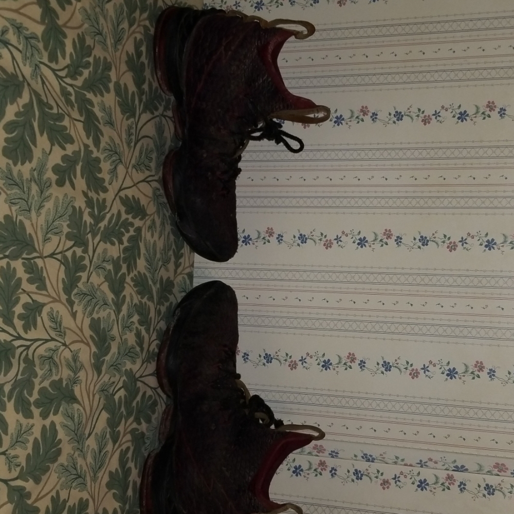 Lebron 15 shoes